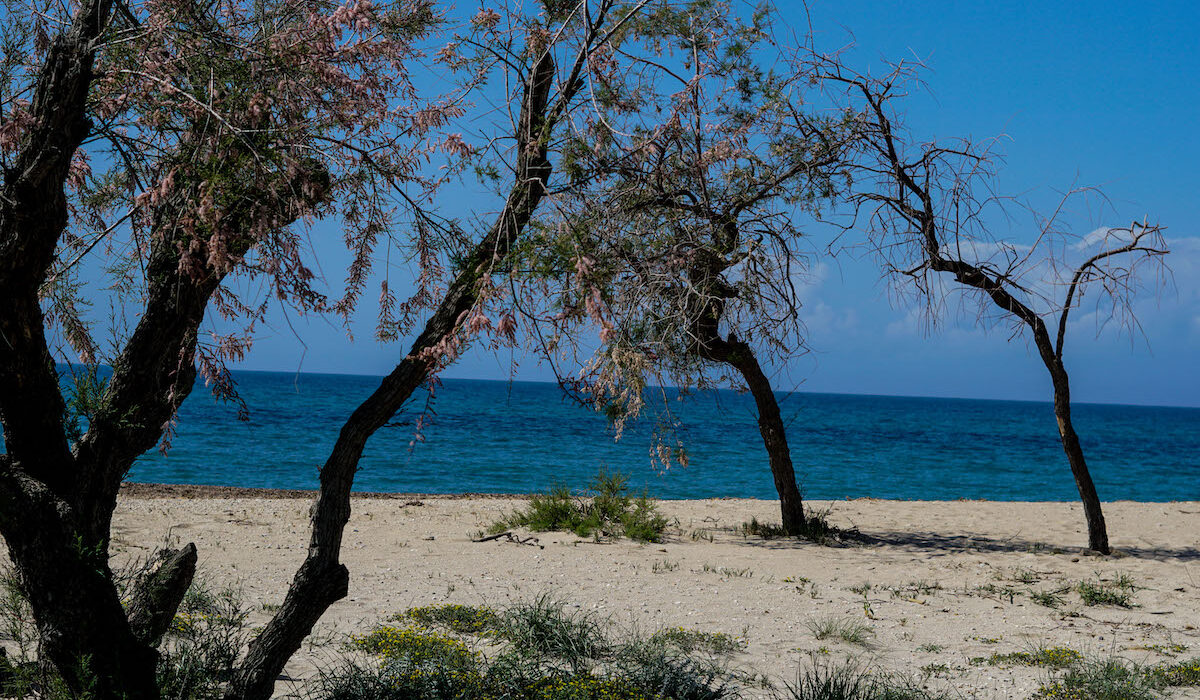 Καιρός: «Χτυπάει» 40άρι το θερμόμετρο σήμερα – Έως και 8 μποφόρ οι άνεμοι στα πελάγη