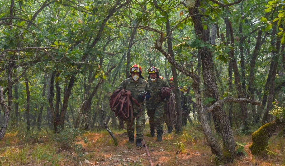 Αυτό είναι το δάσος της Δαδιάς που καίγεται