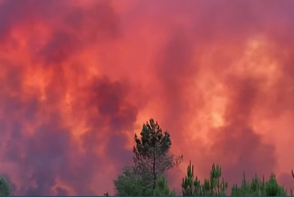 Στις φλόγες οι διάσημοι αμπελώνες του Μπορντό – Μαίνεται η φωτιά «τέρας» στη Γαλλία