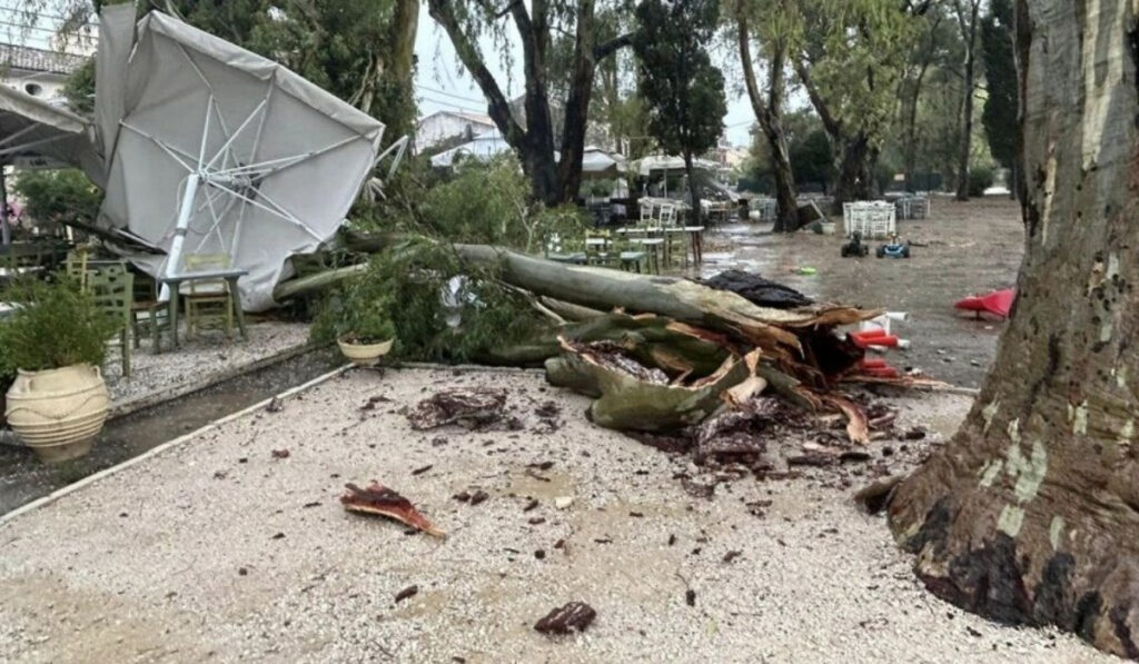 Κακοκαιρία Daniel: Χωρίς ρεύμα περιοχές της Κέρκυρας – Δέντρα έπεσαν σε ταβέρνα