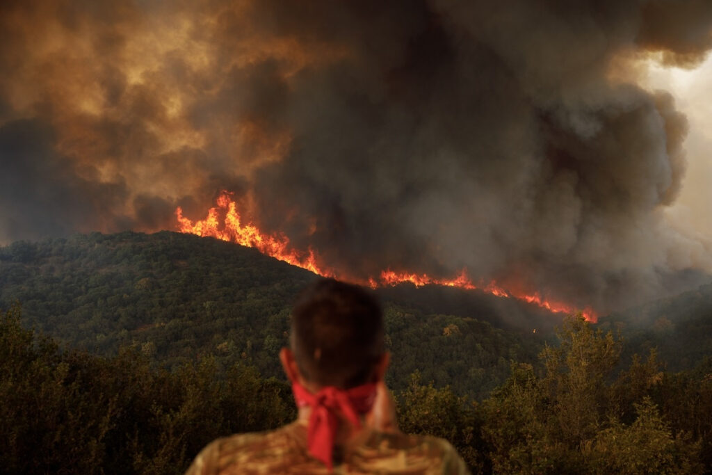 Φωτιά στον Έβρο: Οικολογική καταστροφή στη Δαδιά – Μάχη να μην περάσει στην καρδιά του δάσους