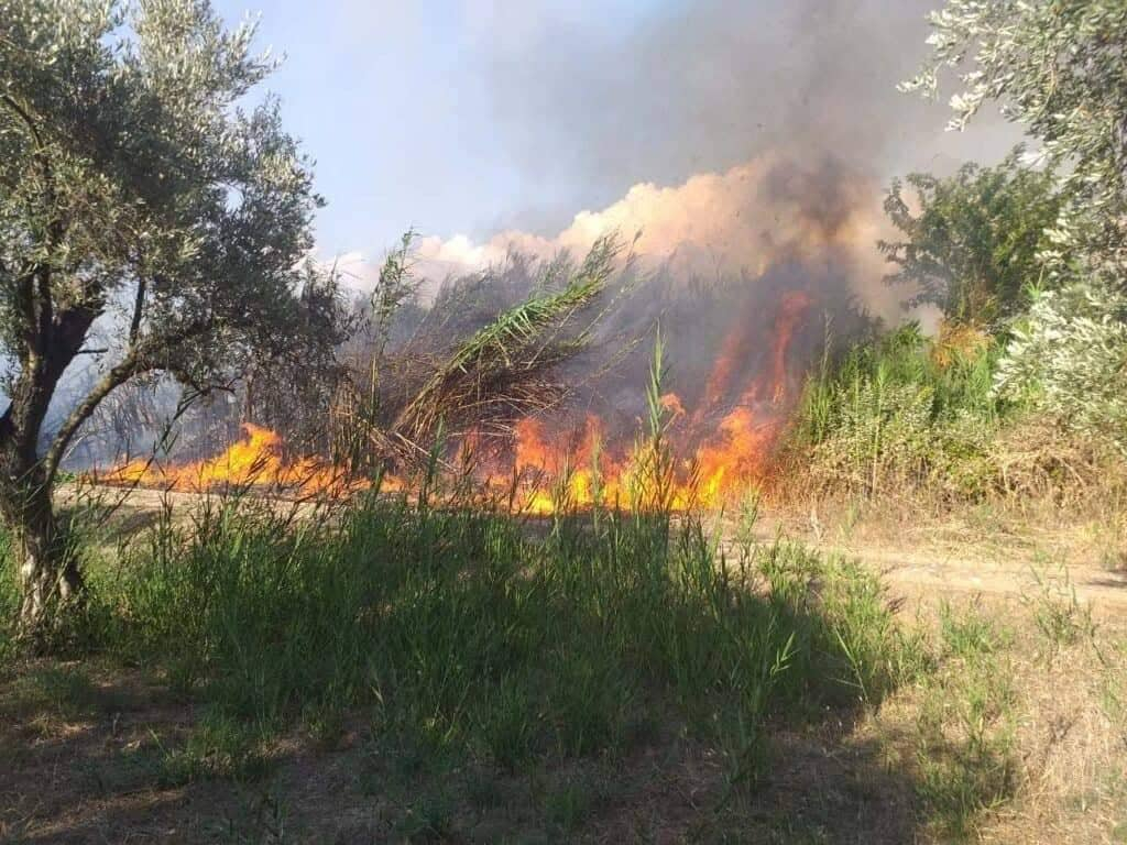 Μεγάλη φωτιά στην Αμαλιάδα – Επιχειρούν εναέρια μέσα