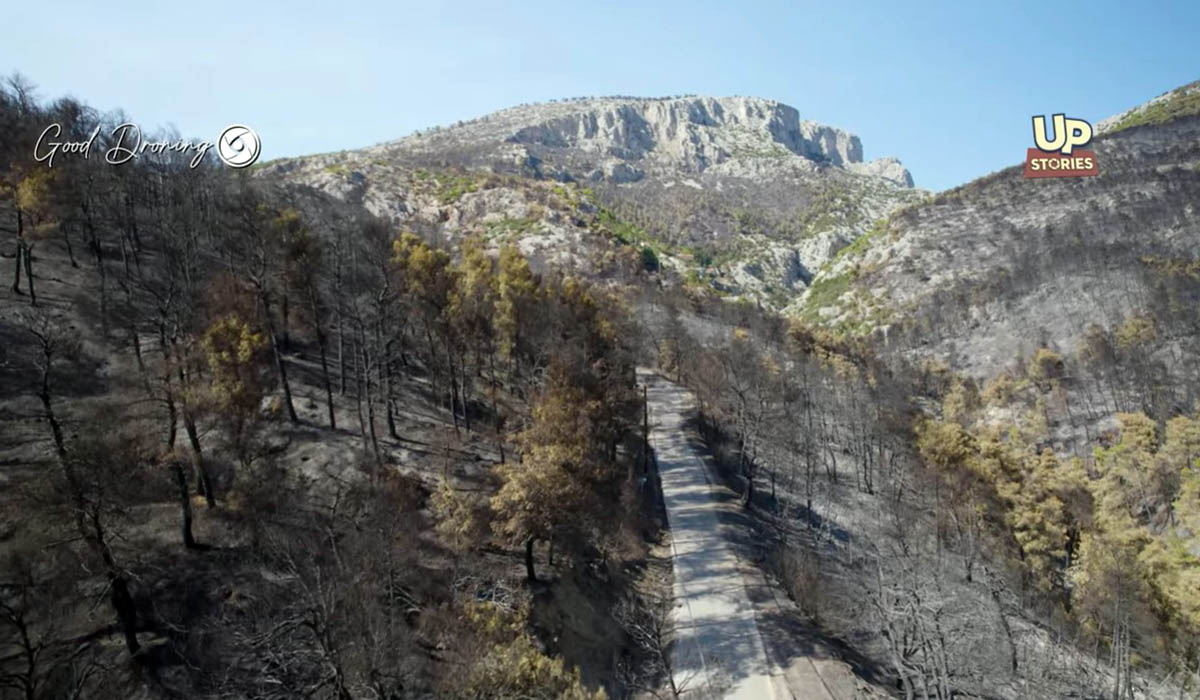 Κρανίου τόπος η Φυλή μετά τις φωτιά: Κόβουν την ανάσα τα πλάνα από το «πριν» και το «μετά» (βίντεο)