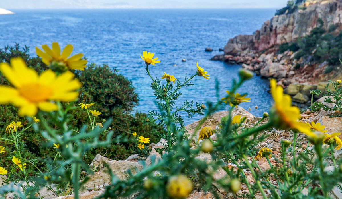 Meteo: 30άρια την Παρασκευή 12/4 – 7 μποφόρ στο Αιγαίο