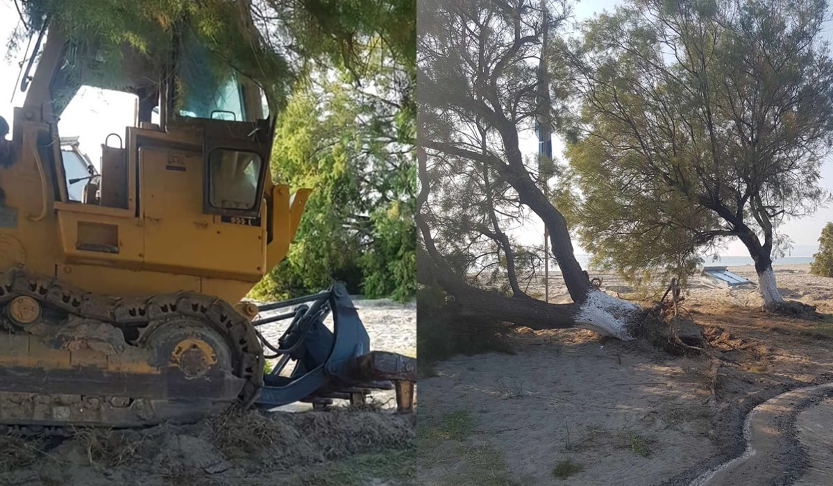 Λάρισα: Ξερίζωσαν με μπουλντόζα δέντρα, παγκάκια και ράμπες ΑμεΑ στα Μεσάγγαλα – Έρευνα για τους δράστες