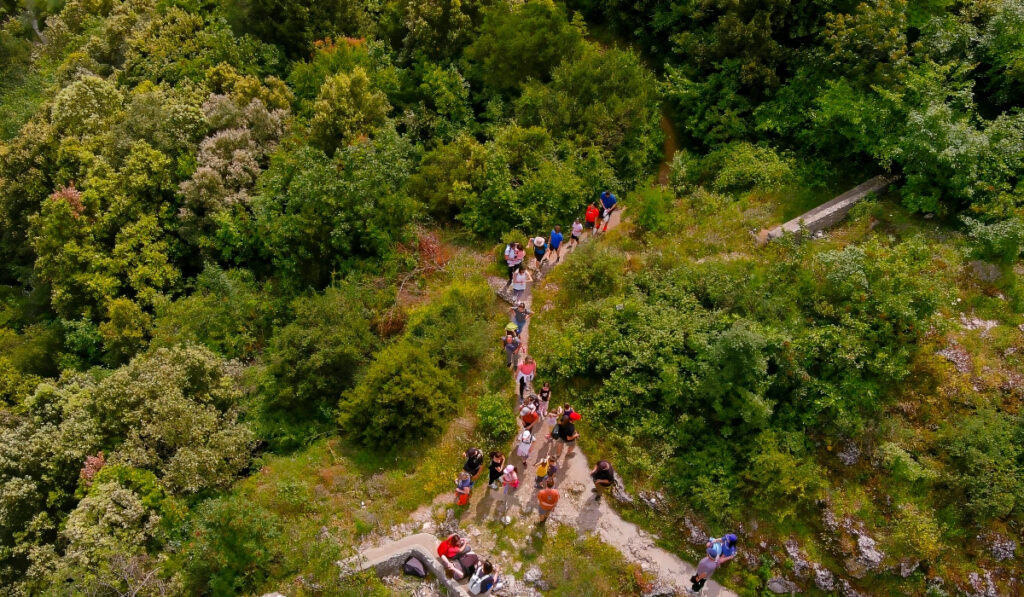 Τουρίστες γίνονται κανονικοί αγρότες μέσα στο κατακαλόκαιρο για να… ζήσουν την εμπειρία