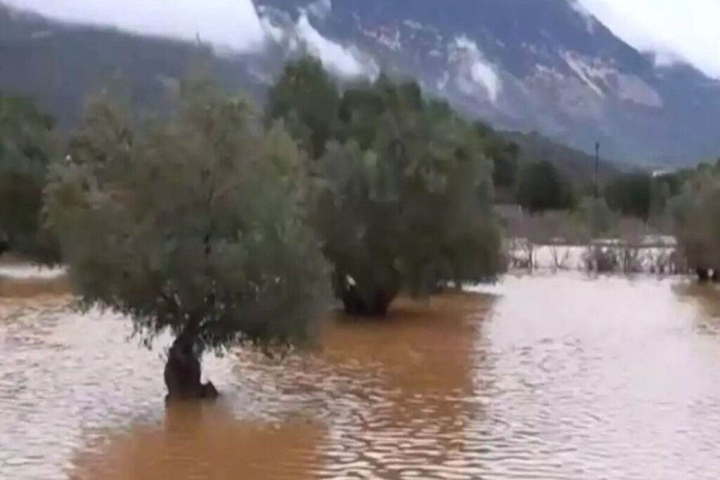 Κακοκαιρία στην Κεφαλονιά: Τεράστιες καταστροφές από τις πλημμύρες – Φτάνει το 1,5 μέτρο το νερό