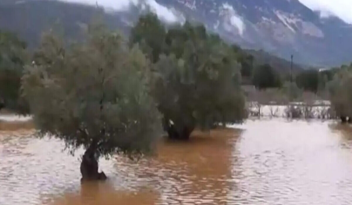 Κακοκαιρία στην Κεφαλονιά: Τεράστιες καταστροφές από τις πλημμύρες – Φτάνει το 1,5 μέτρο το νερό