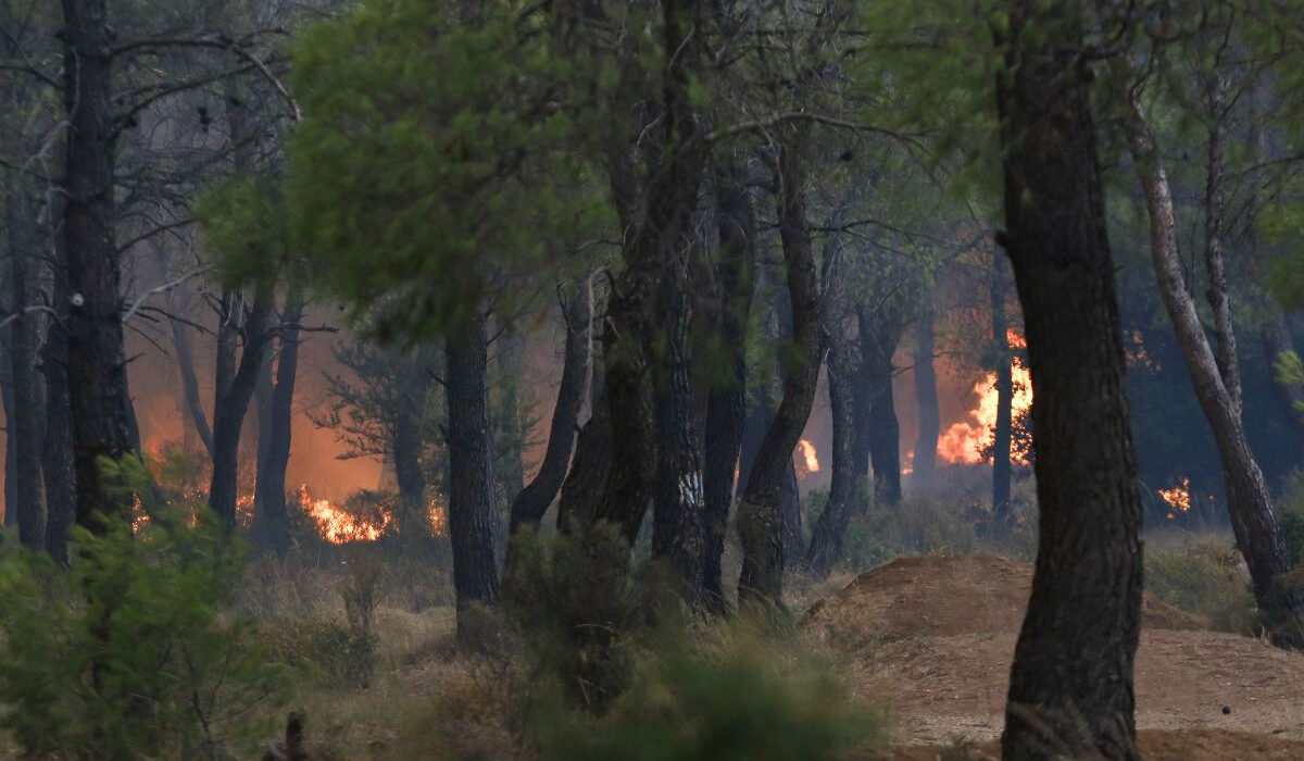 Μεγάλη αναζωπύρωση στην Πάρνηθα: Κίνδυνος επέκτασης της φωτιάς στους Θρακομακεδόνες