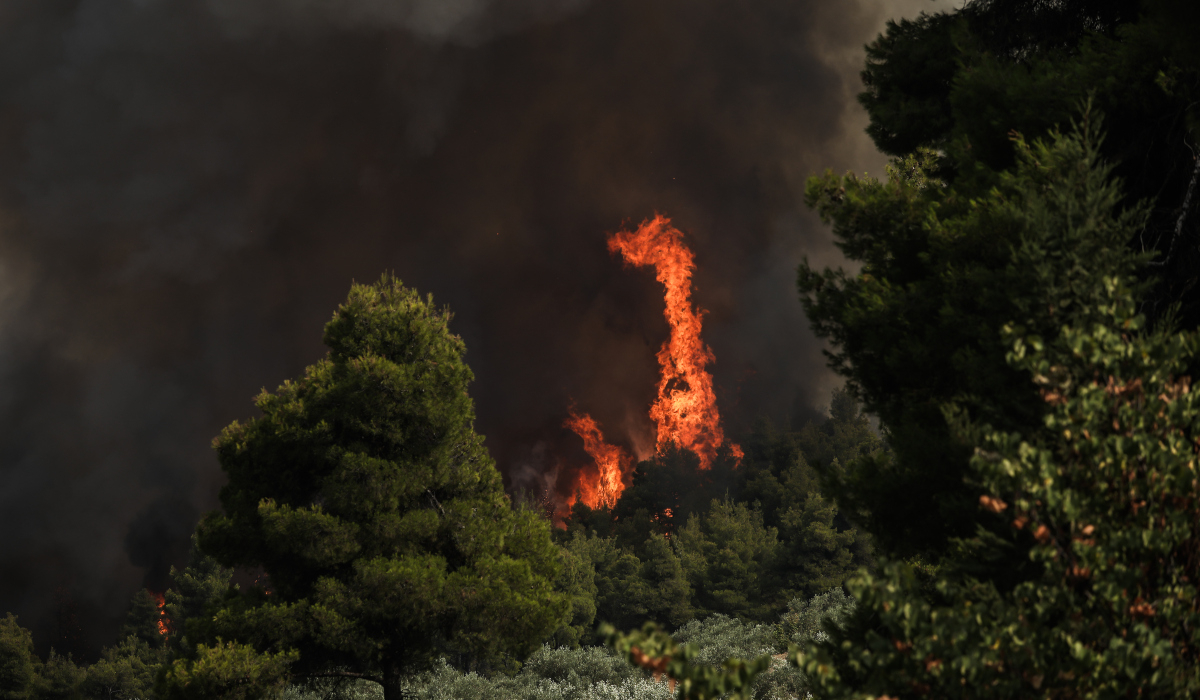 Πύρινη κόλαση στην Εύβοια: Δραματικές ώρες από τη φωτιά για Αμελάντες – Σκεπαστή