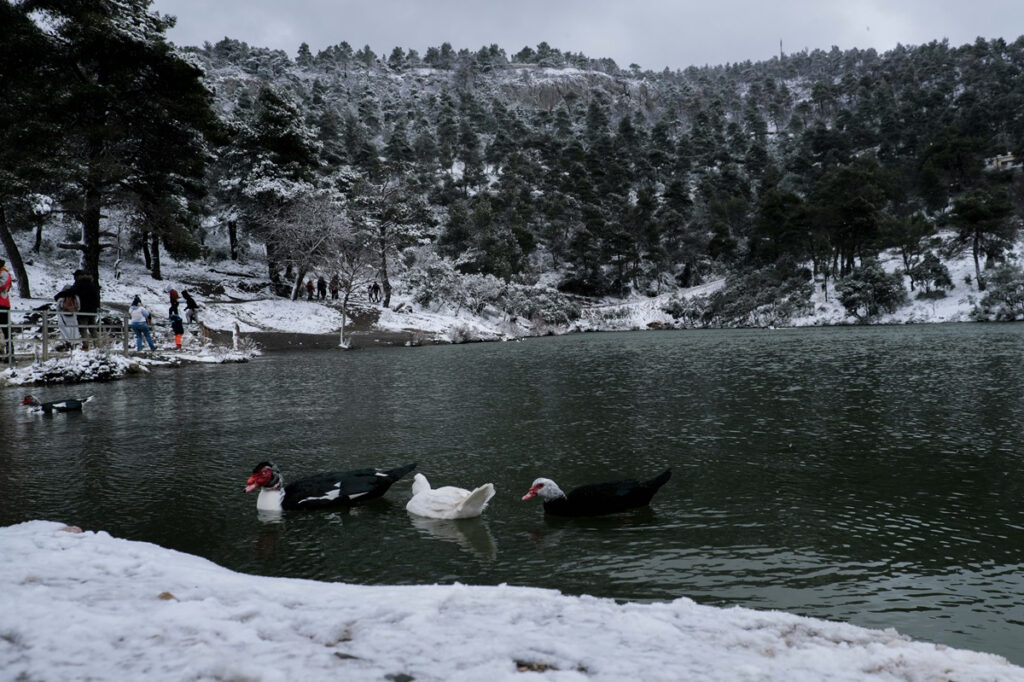 Συνεχίζονται τα προβλήματα από την κακοκαιρία: Κλειστοί δρόμοι και θυελλώδεις άνεμοι (Φωτογραφίες)