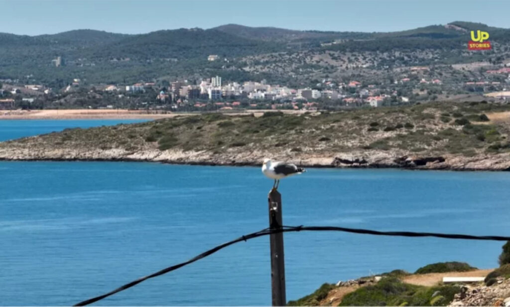 Φάρος Βρυσάκι: Το απέραντο γαλάζιο που συνθέτει το απόλυτο καλοκαιρινό σκηνικό (Βίντεο Drone)