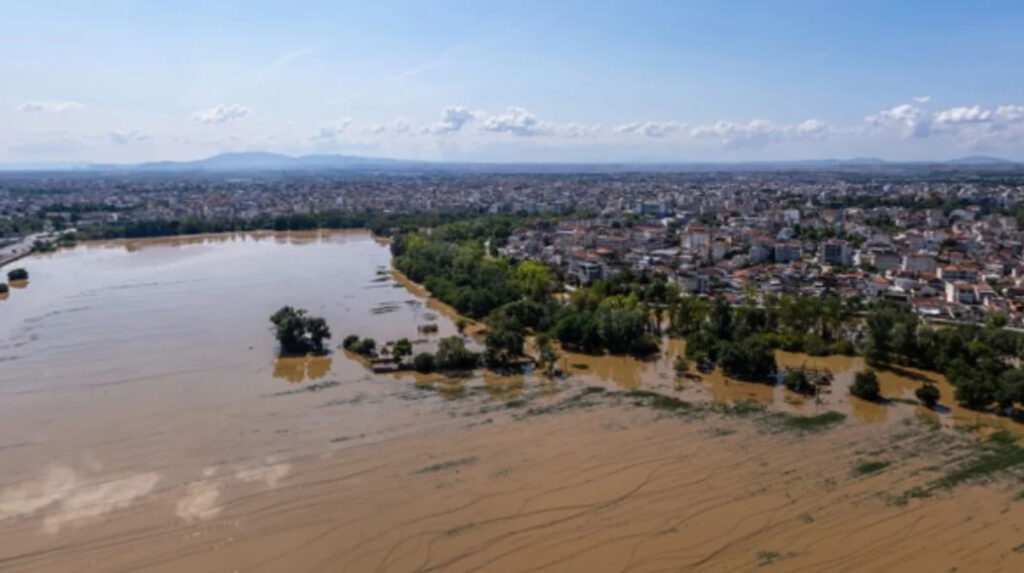 Καρδίτσα: Πνίγηκαν όλα πρόβατα κτηνοτρόφου – Προσοχή σκληρές εικόνες