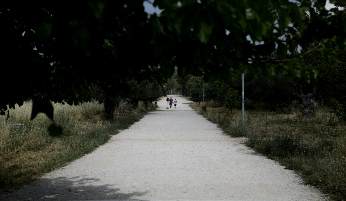 Παρατείνεται η απαγόρευση μετακίνησης σε δάση και άλση: Η ημερομηνία και τα πρόστιμα