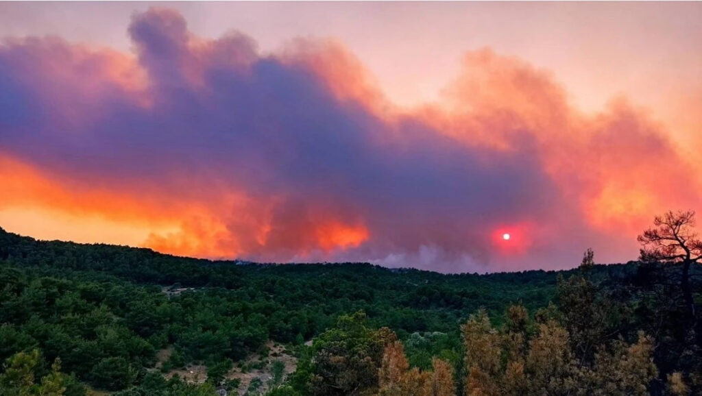 Αλεξανδρούπολη: Εκτροπή της κυκλοφορίας των οχημάτων στο ύψος του κόμβου Λύρας-Λαγυνών λόγω της εξάπλωσης της φωτιάς