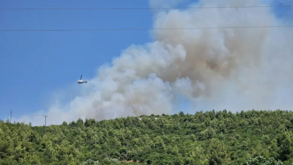 Φωτιά τώρα στο Μαρκόπουλο Ωρωπού – Ενισχύθηκαν οι δυνάμεις της Πυροσβεστικής