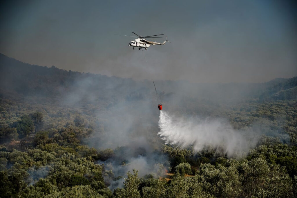 Φωτιά τώρα στη νότια Κέρκυρα – Τέθηκε γρήγορα υπό έλεγχο