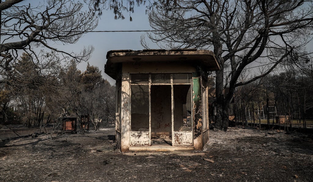 ΜέΡΑ25: Προστασία των καμένων εκτάσεων για 30 χρόνια και επανασύσταση της δασοπυρόσβεσης