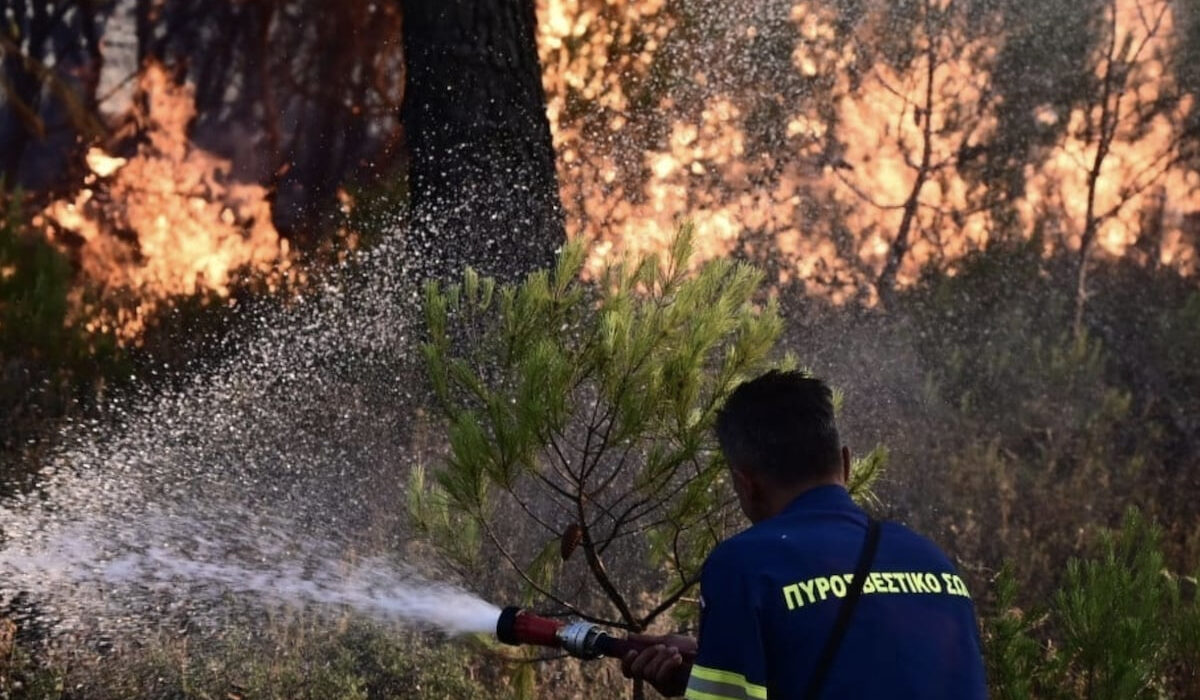 Δάσκαλε που δίδασκες… Καθηγητής σε σχολές της ΕΛΑΣ συνελήφθη για εμπρησμούς στη Βάρη