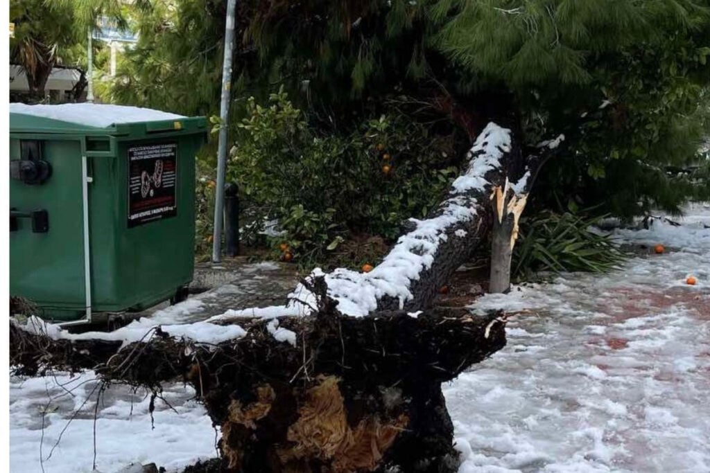 Μπλοκαρισμένοι δρόμοι από τα πεσμένα δέντρα σε Αγία Παρασκευή και Νέα Σμύρνη (Φωτογραφίες)