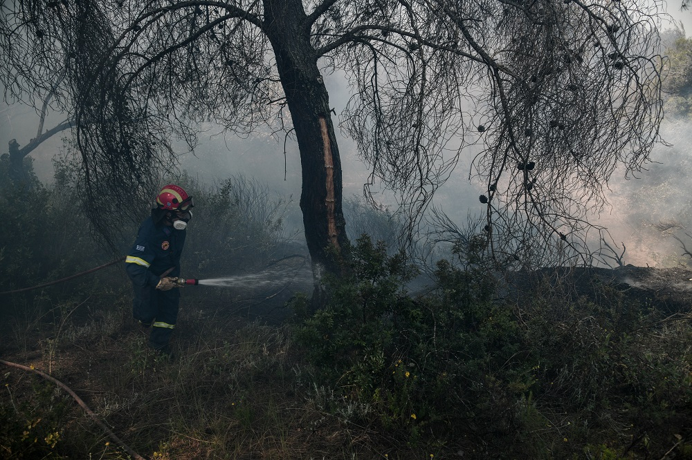 Φωτιά σε Κορινθία – Μέγαρα: Μάχη με τις αναζωπυρώσεις – Διάσπαρτες οι εστίες