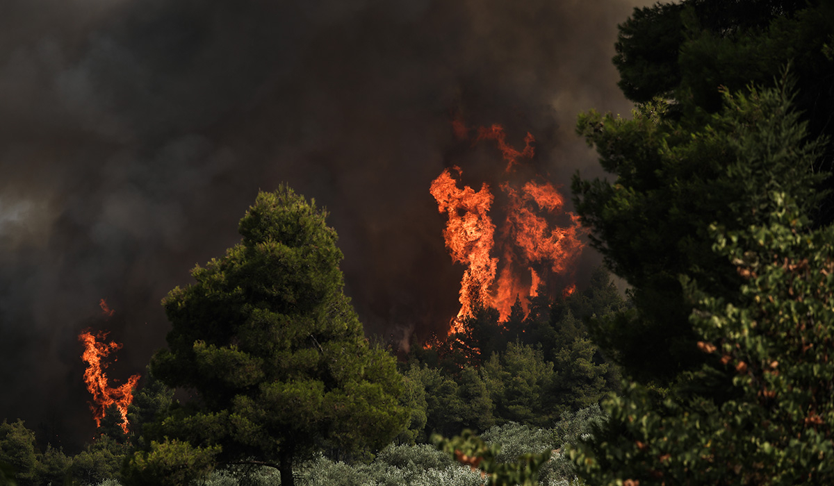 Φωτιά στην Εύβοια: Εκατοντάδες αποκλεισμένοι έχουν συγκεντρωθεί στην παραλία