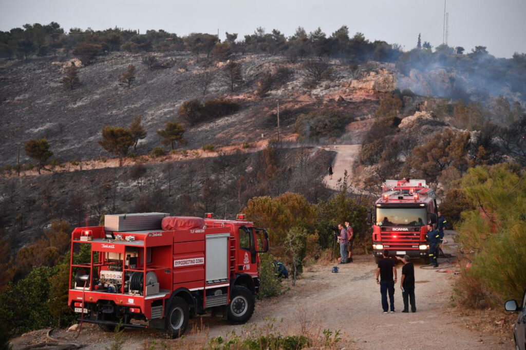 Φωτιά στην Αγία Πελαγία Ηρακλείου