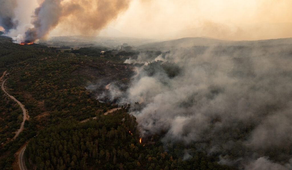 Φωτιά στην Αλεξανδρούπολη: Εφιάλτης δίχως τέλος – Μάχες σε πολλαπλά μέτωπα