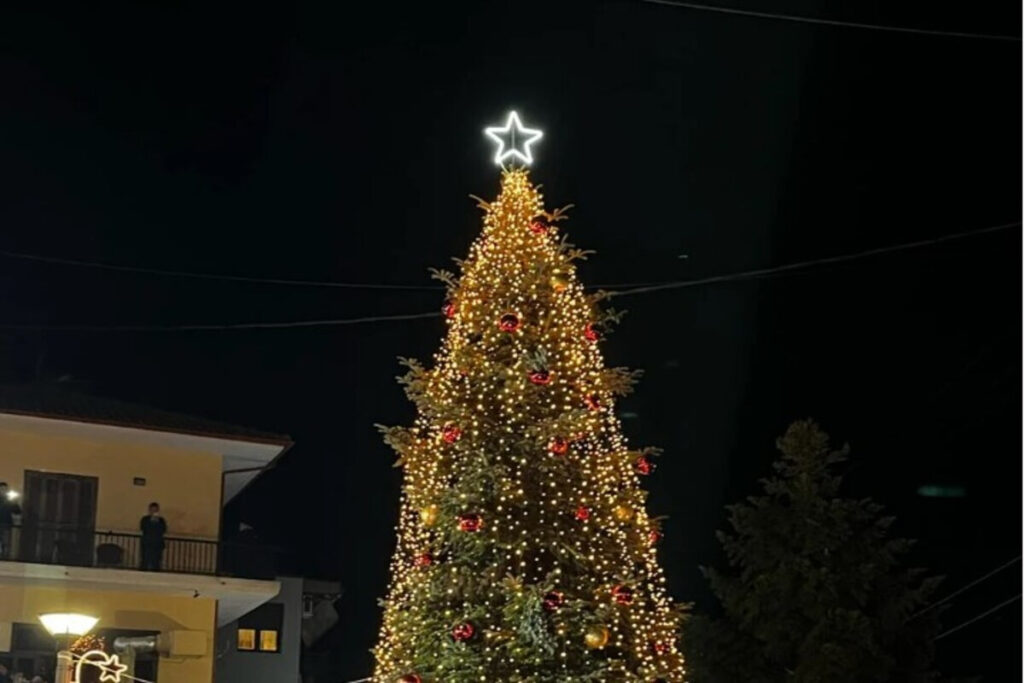 Στην Χαλκιδική άναψε το πρώτο Χριστουγεννιάτικο δέντρο φέτος – Το φωτίζουν 20.000 λαμπάκια