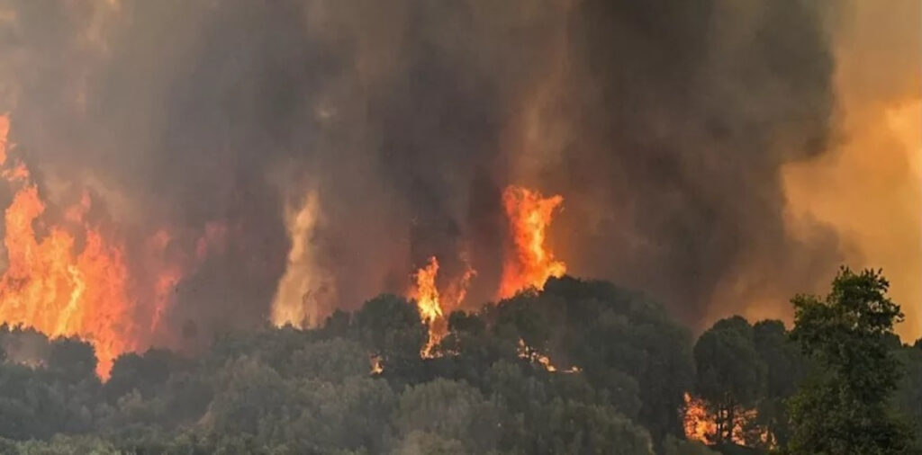 Η Ελλάδα στις φλόγες – Ολονύχτια μάχη με τη φωτιά σε Ηλεία και Ύδρα (εικόνες, βίντεο)