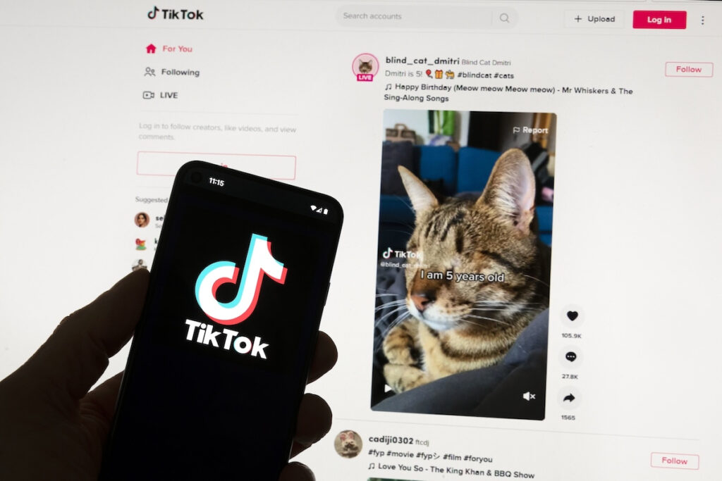 TikTok: Στο στόχαστρο της Ε.Ε. για την εφαρμογή Lite που «πληρώνει» τους χρήστες