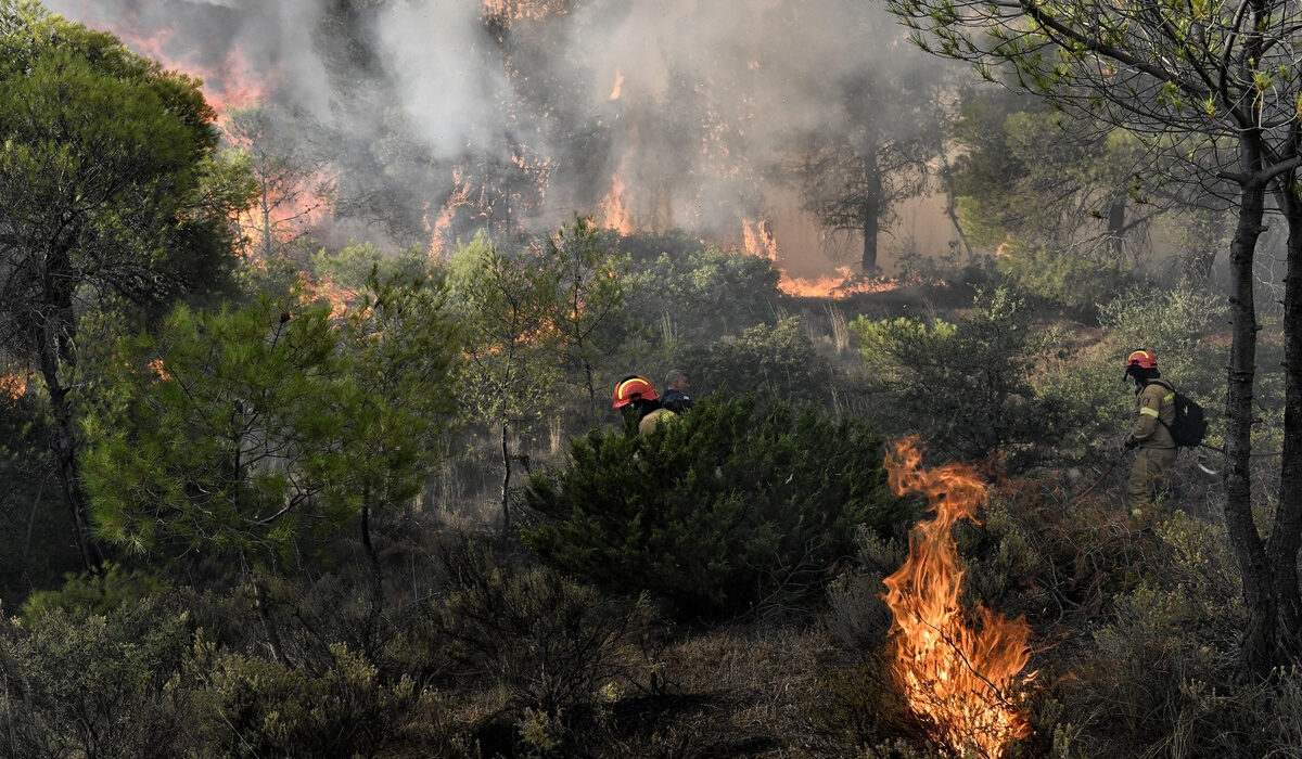 Περισσότερες από 20 συλλήψεις για εμπρησμούς από την αρχή του έτους – Πρόστιμα ύψους άνω των 28.000 ευρώ