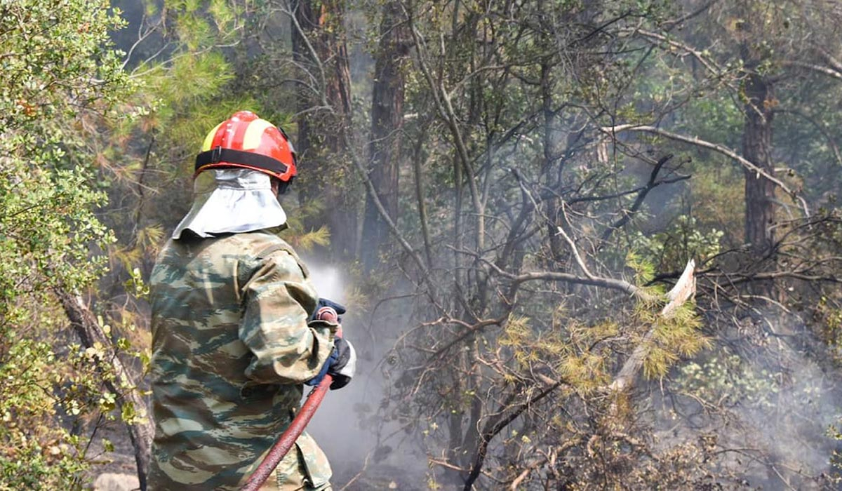 Απειλητικές αναζωπυρώσεις στο δάσος της Δαδιάς