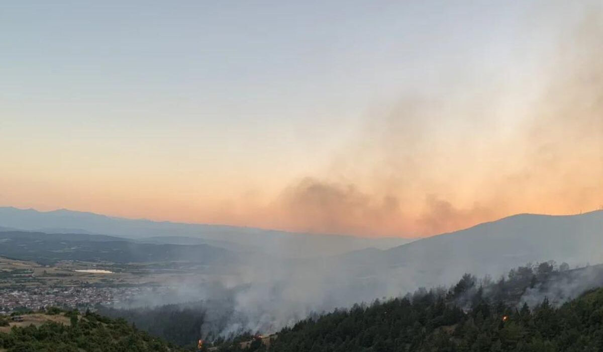 Γρεβενά: Καλύτερη η εικόνα της φωτιάς στη Δεσκάτη – Δεν απειλήθηκαν σπίτια