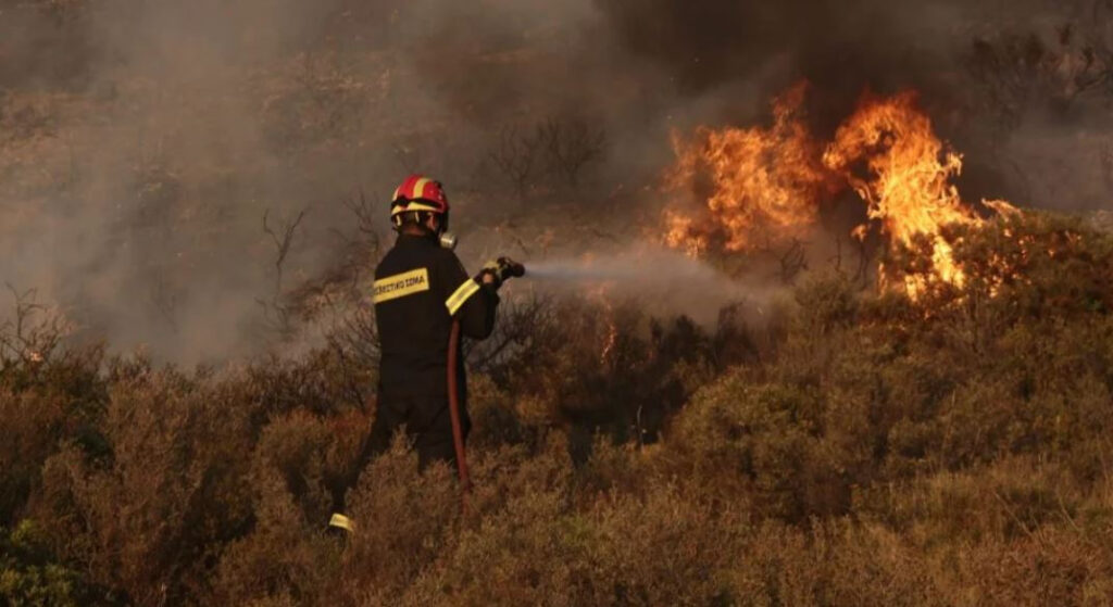 Θεσσαλονίκη: Σύλληψη για εμπρησμό από αμέλεια στον Λαχανά