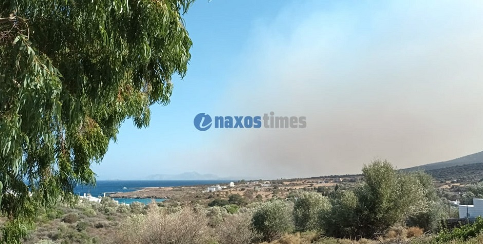 Μαίνεται η φωτιά στην Νάξο – Επιχειρούν επίγειες και εναέριες δυνάμεις