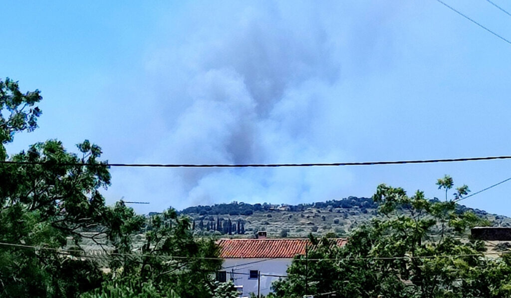 Αναζωπύρωση της φωτιάς στην Αργολίδα – Νέο μήνυμα του 112 για εκκένωση της Δάρδιζας