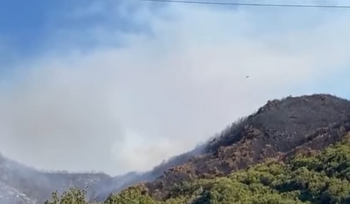 Θεσπρωτία: Ολονύχτια μάχη με τη φωτιά στις Φιλιάτες (Εικόνες, Βίντεο)