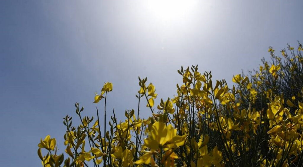 Ο καιρός αύριο Σάββατο 19/6