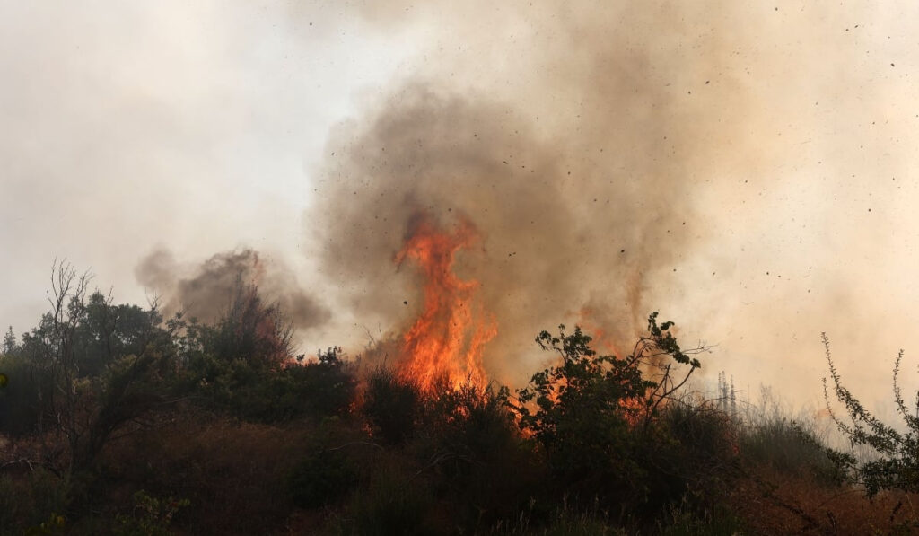 Οριοθετήθηκε η πυρκαγιά στην Σκιάθο