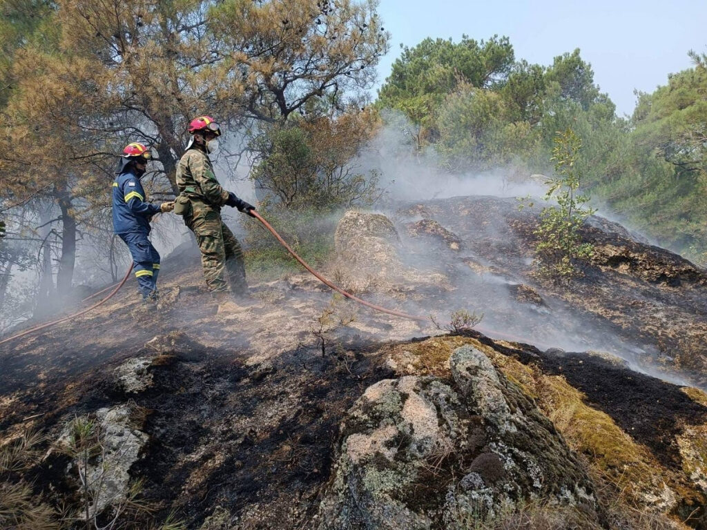 Δάσος Δαδιάς: Καίει ανεξέλεγκτο το πύρινο μέτωπο – Ενισχύονται οι άνεμοι το απόγευμα