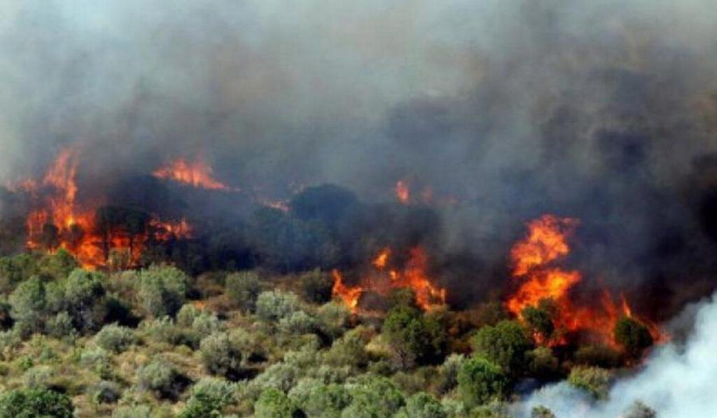 Ρόδος: Σε κατάσταση έκτακτης ανάγκης δύο Δημοτικές Ενότητες