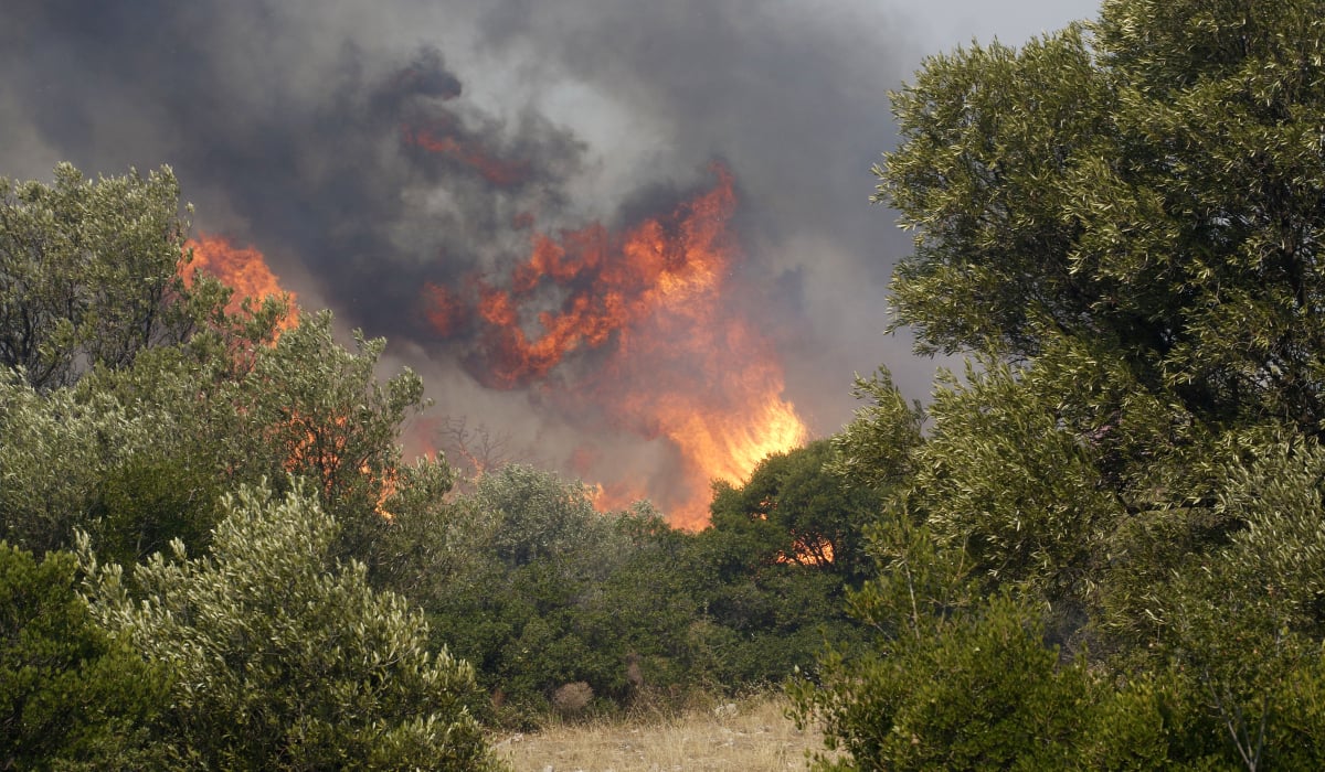 Φωτιά τώρα στη Φθιώτιδα – Σηκώθηκαν 4 αεροσκάφη