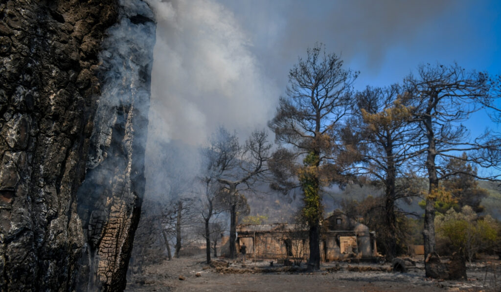 Φωτιά στα Βίλια: Εκτός ελέγχου το πύρινο μέτωπο – Πού κινείται η φωτιά