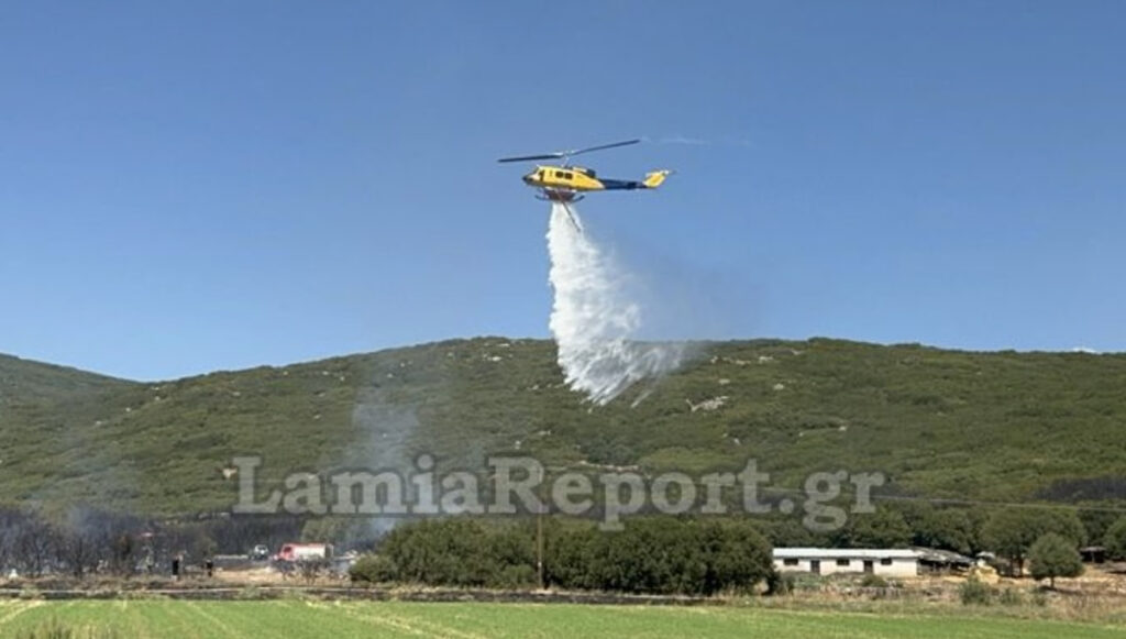 Καλύτερη η εικόνα της φωτιάς στην Παναγιά Φθιώτιδας – Τραυματίστηκε ελαφρά πυροσβέστης (βίντεο)