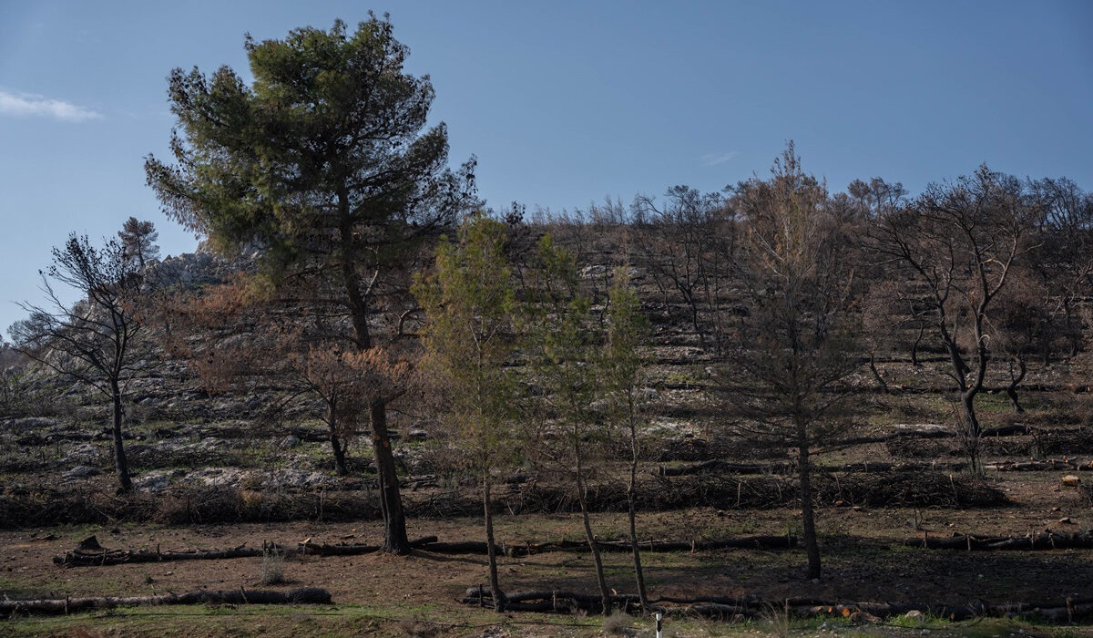 ΤΕΡΝΑ: Χρηματοδότηση αντιδιαβρωτικών έργων 1 εκατ. ευρώ στις πληγείσες από τις πυρκαγιές περιοχές της Μάνδρας