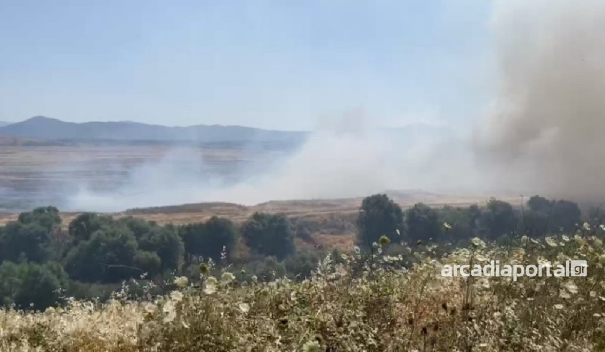 Μεγάλη φωτιά στη Μεγαλόπολη κοντά στα ορυχεία της ΔΕΗ – Κοντά σε σπίτια, εκκενώνονται χωριά