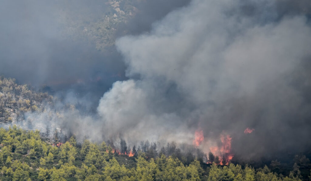 Φωτιές: Μάχη με τις διάσπαρτες εστίες στα Βίλια – Aναζωπυρώσεις στη Λαυρεωτική