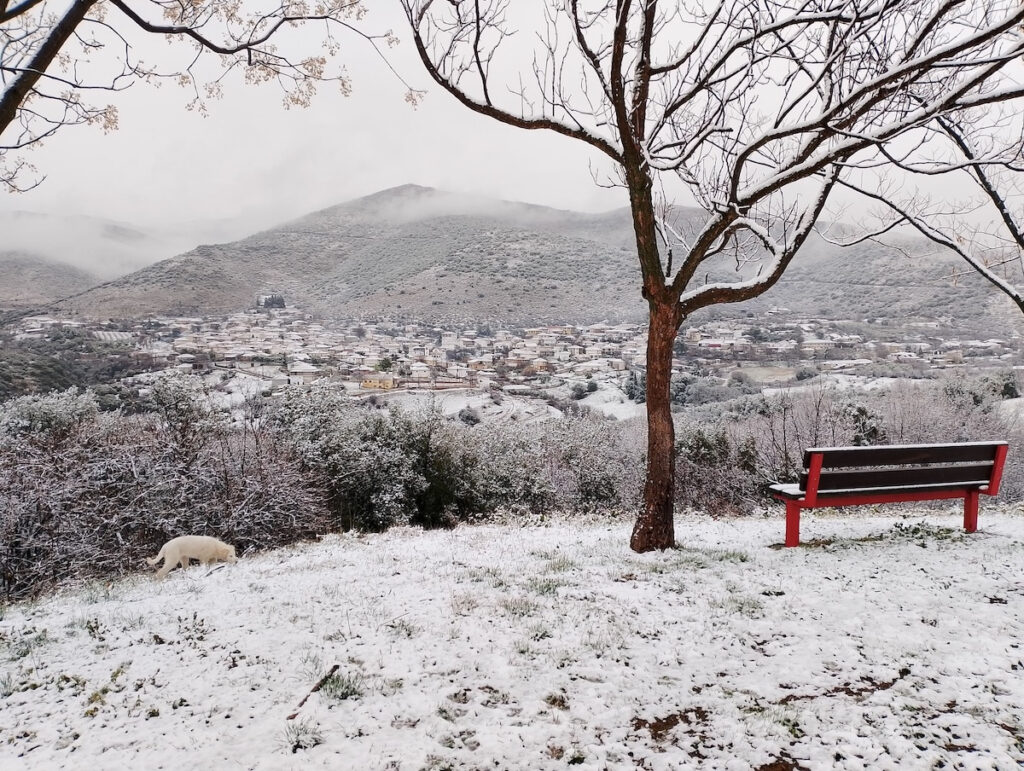 Συνεχίζεται αύριο ο χιονιάς στη βόρεια Ελλάδα – Πού θα είναι κλειστά τα σχολεία και πού έχει απαγορευτεί η κυκλοφορία