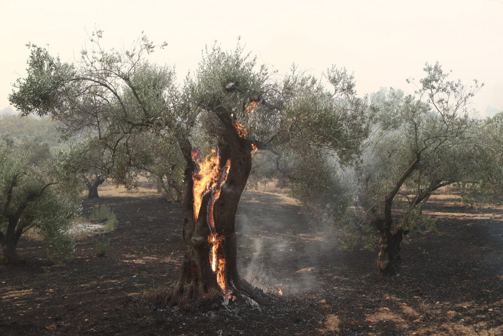 Καίει για 11η μέρα η φωτιά στον Έβρο – Ενεργές καύσεις σε Πάρνηθα και Βοιωτία